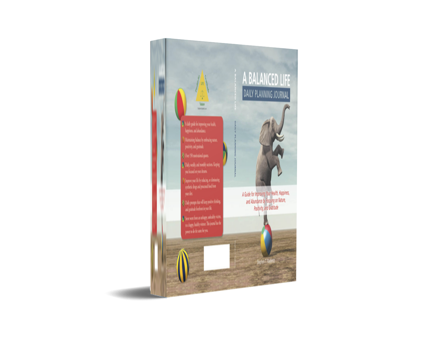 PDF DOWNLOAD ... Balanced life daily planning journal